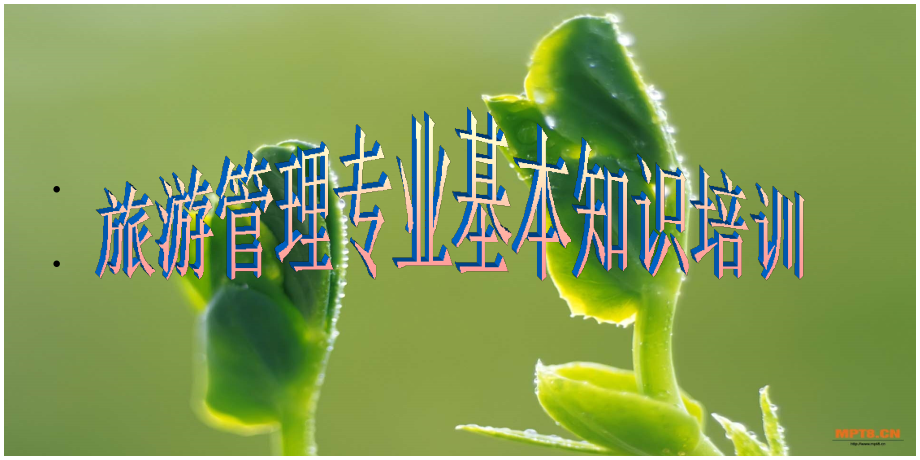 旅行社员工培训.ppt_第1页