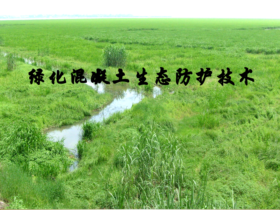 绿化混凝土河道边坡生态防护技术(图文并茂).ppt_第1页