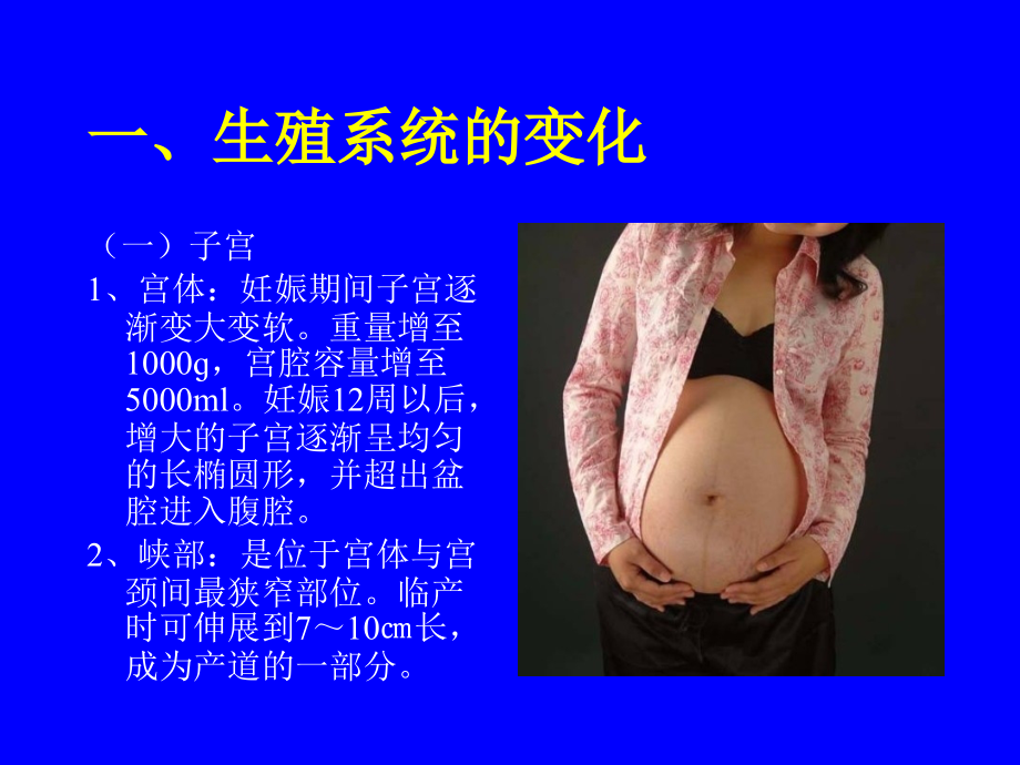 医学妊娠期母体的变化.ppt_第2页