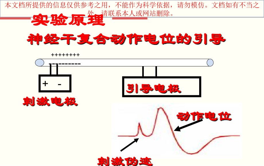 动作电位的测量专业知识讲座.ppt_第2页