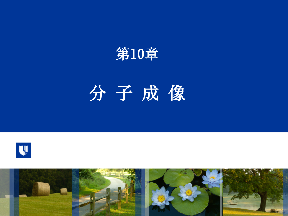 化学生物学-分子成像.ppt_第1页