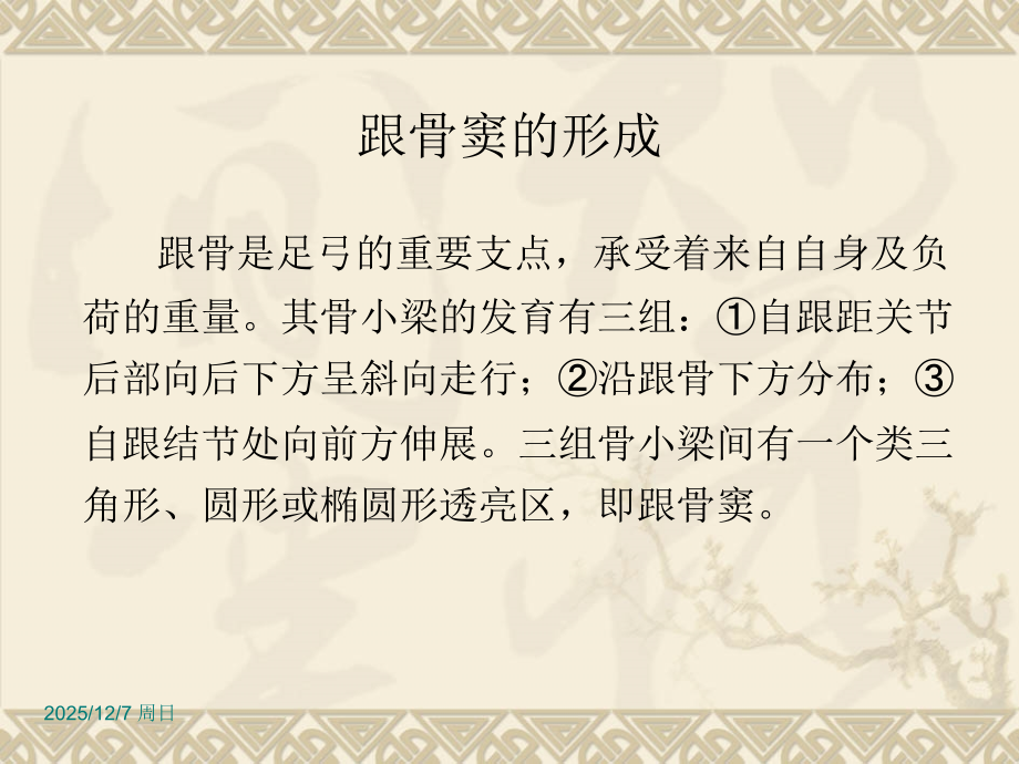 医学课件跟骨窦影像表现与鉴别诊断.ppt_第2页