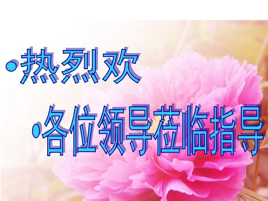 新建铁路客运专线岩土地质勘察及质量控制汇报材料.ppt_第1页
