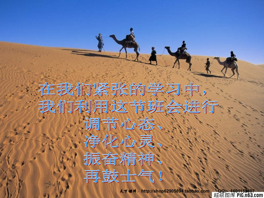 主题班会：我是雄鹰-我要飞翔.ppt_第2页