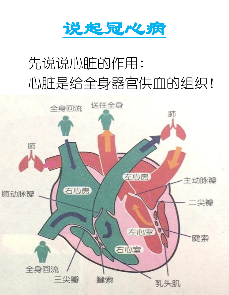 医学课件冠心病和心肌梗塞的发展历程.ppt_第2页
