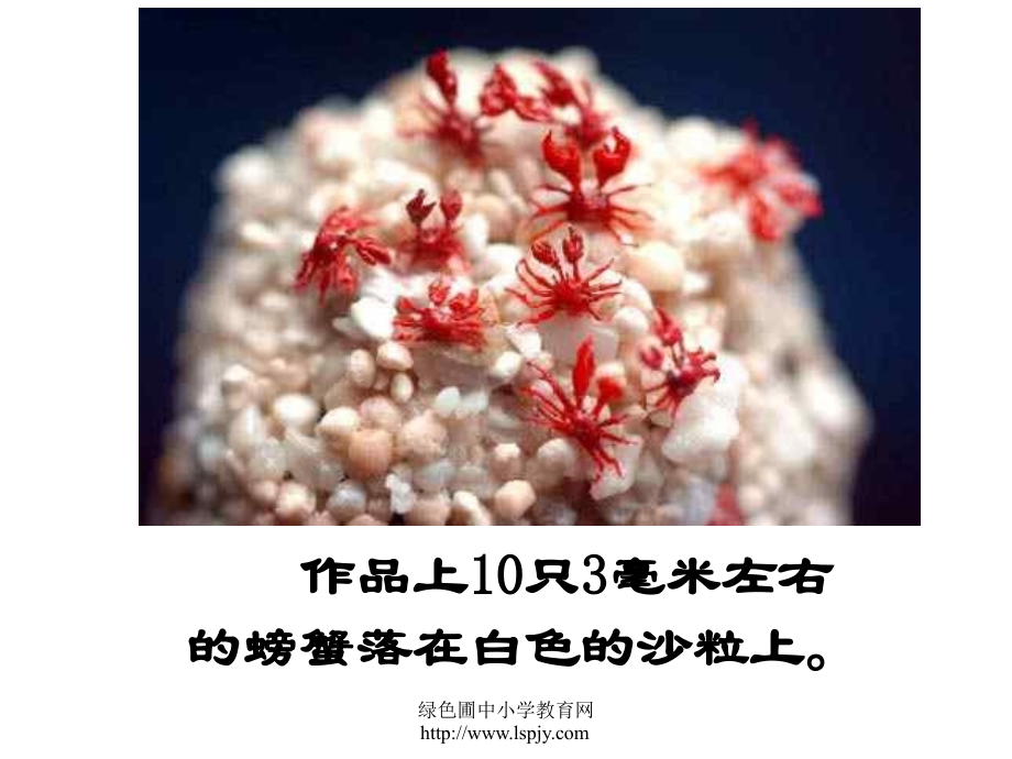 《核舟记》PPT课件.ppt_第2页