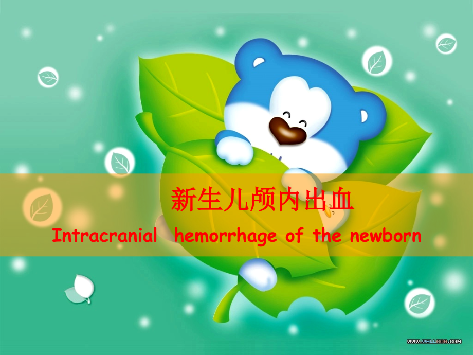 新生儿颅内出血.ppt_第2页