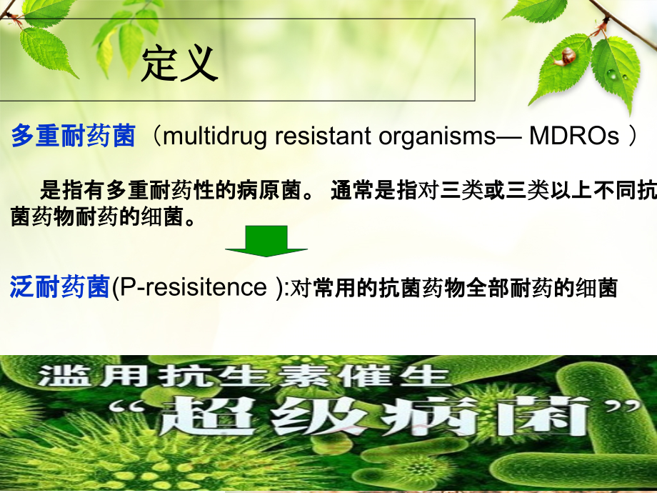 医学多重耐药菌护理查房专题医学知识宣讲专题.ppt_第2页