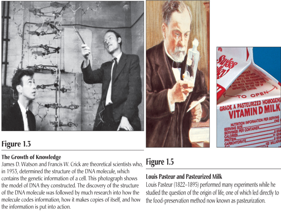 医学科学研究概述资料.ppt_第2页