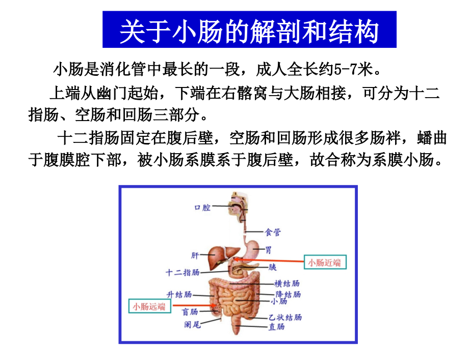 小肠疾病诊断流程【可编辑的PPT文档】.ppt_第2页