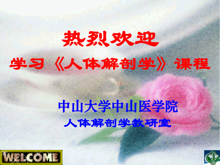 绪论(WHQ202).ppt_第1页