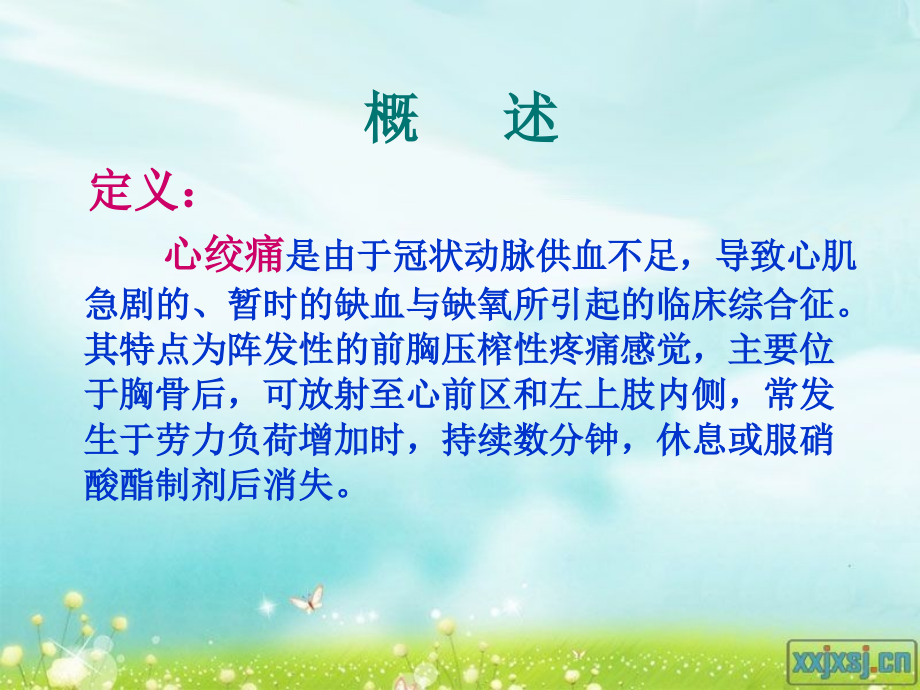 心绞痛汇总欣赏讲解-PPT医学课件.ppt_第2页