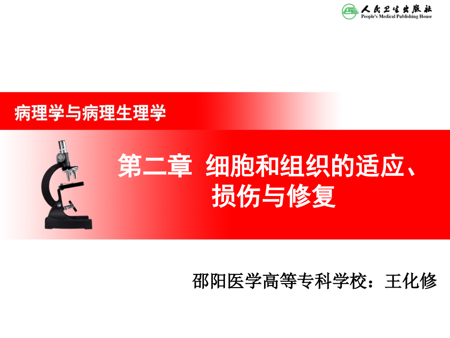 医学细胞和组织的适应损伤和修复.ppt_第2页