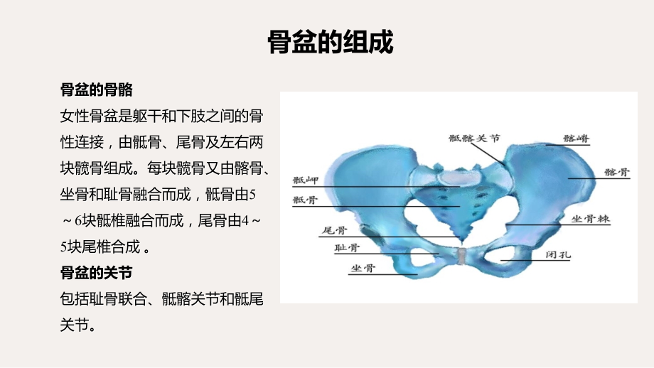 医学课件妇产科学产道异常.ppt_第1页