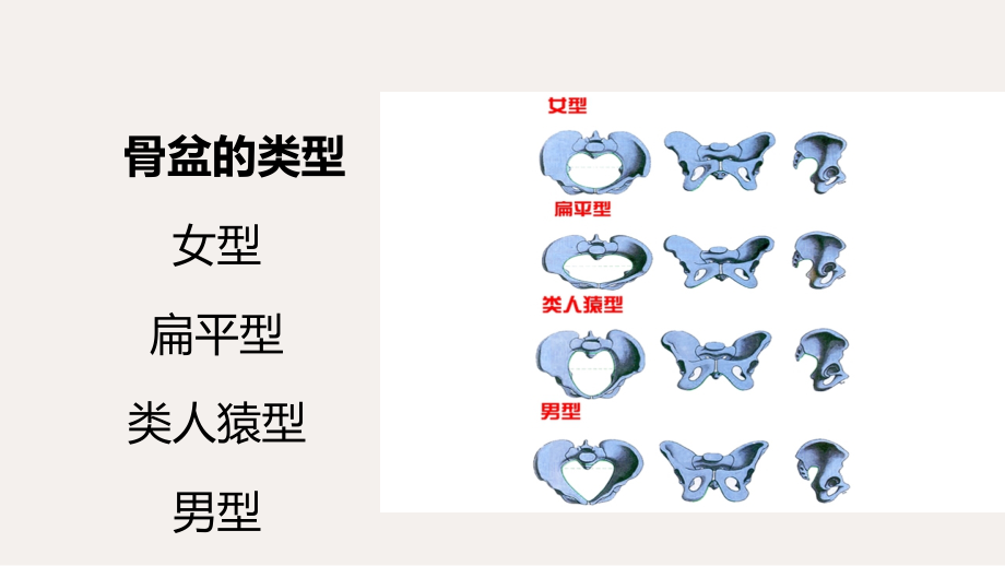 医学课件妇产科学产道异常.ppt_第2页