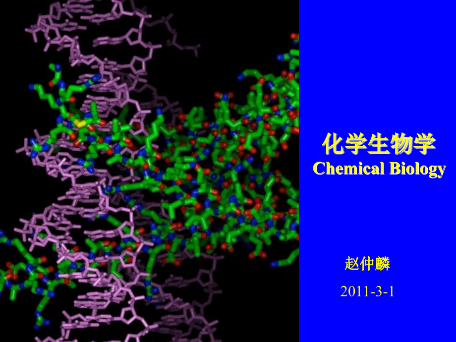 化学生物学.ppt_第1页