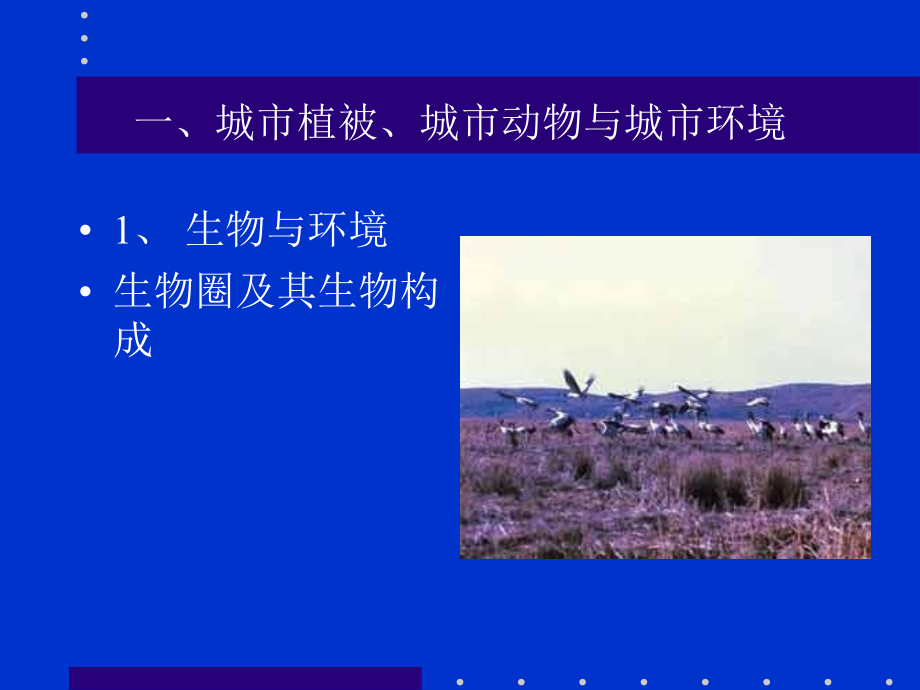 城市化的生态环境效应.ppt_第2页