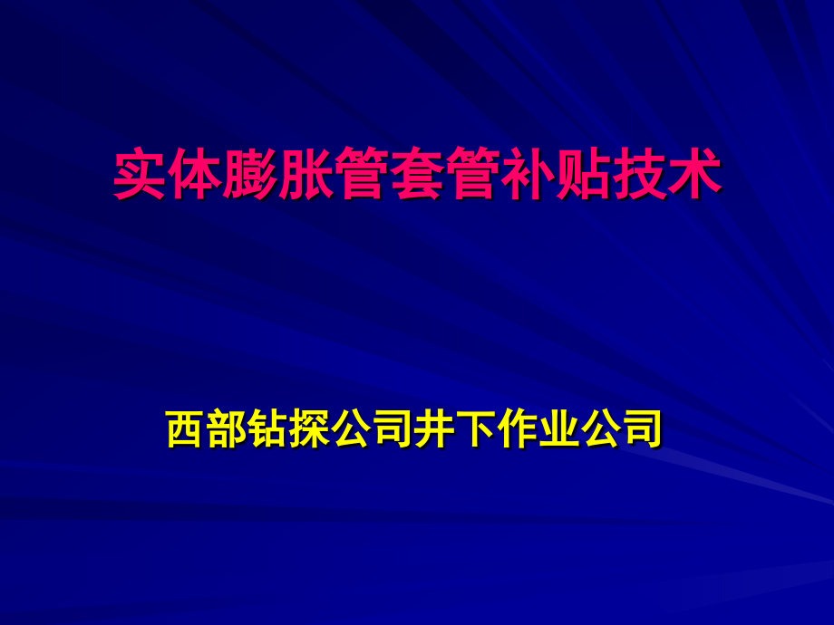 膨胀管套管补贴技术.ppt_第1页