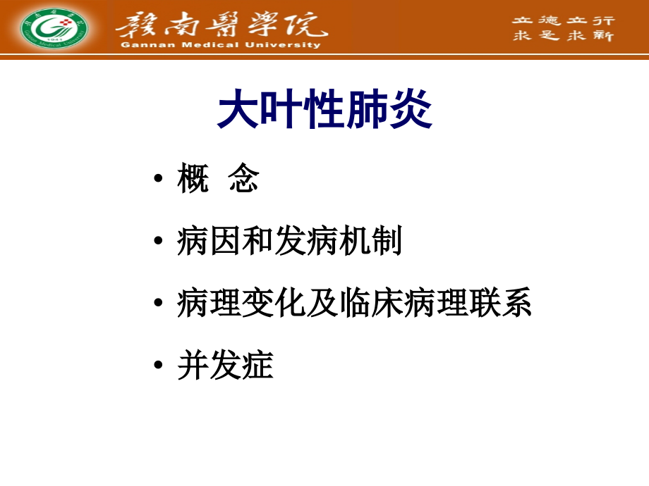 医学大叶性肺炎专业知识讲座专题.ppt_第2页