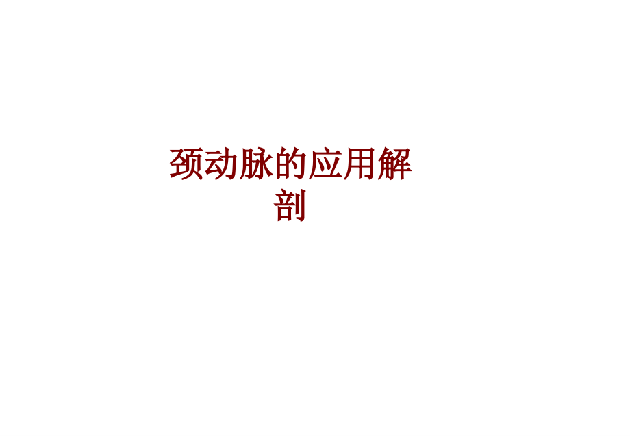 医学颈动脉的应用解剖.ppt_第1页