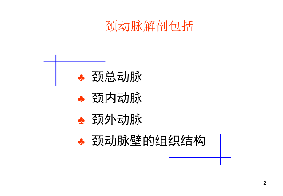 医学颈动脉的应用解剖.ppt_第2页
