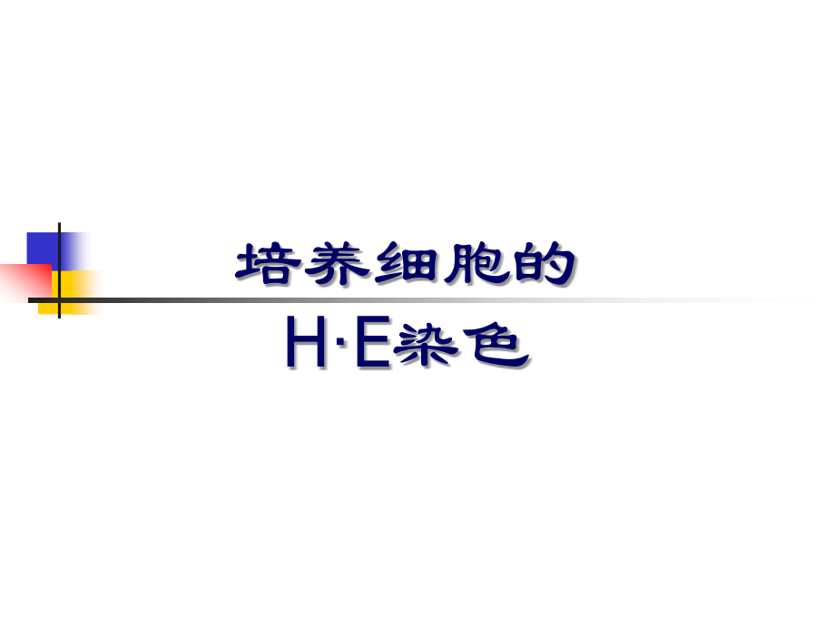 培养细胞的H·E染色.ppt_第1页