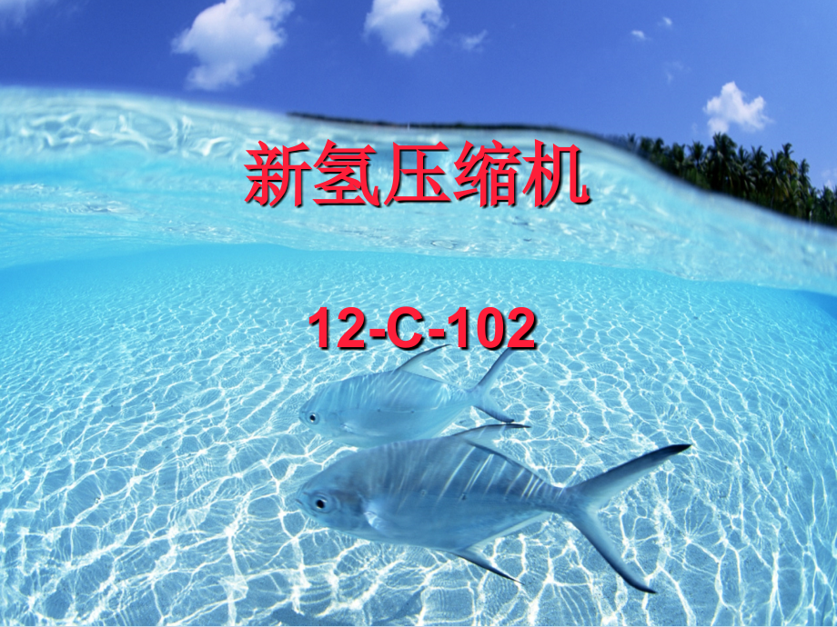 新氢压缩机培训.ppt_第1页