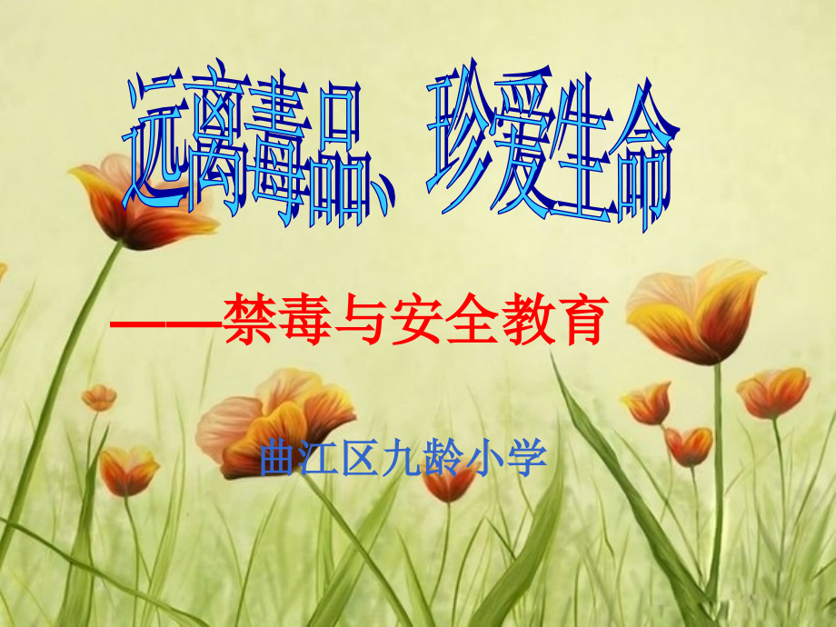 小学禁毒教育主题班会(PPT课件).ppt_第1页