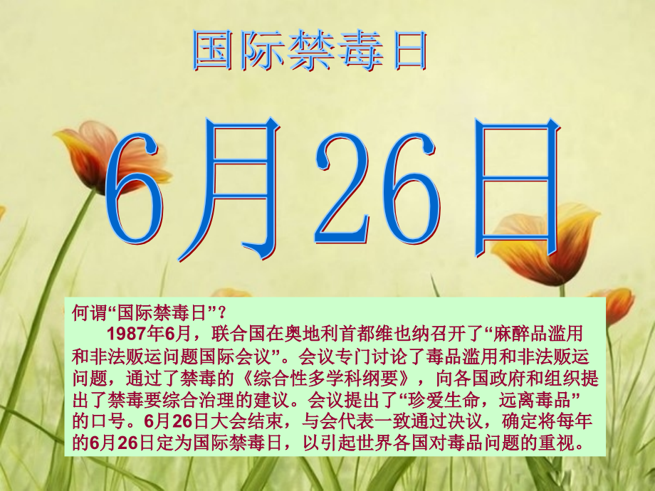小学禁毒教育主题班会(PPT课件).ppt_第2页