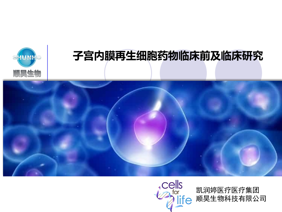 宫内膜干细胞治疗卵巢早衰、子宫的应用【可编辑的PPT文档】.ppt_第1页