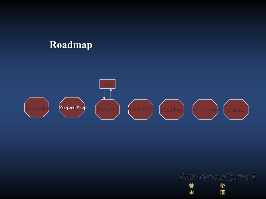 普华永道项目管理.ppt_第2页