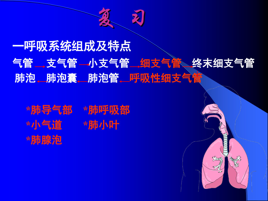 医学课件病理学呼吸系统疾病.ppt_第1页