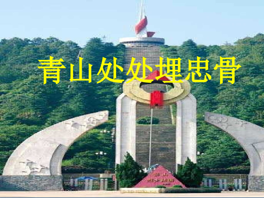 语文五年级上册课件-青山处处埋忠骨.ppt_第1页