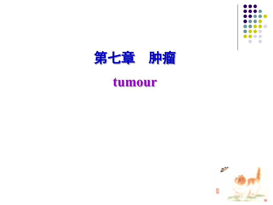 病理学基础第七章肿瘤.ppt_第1页