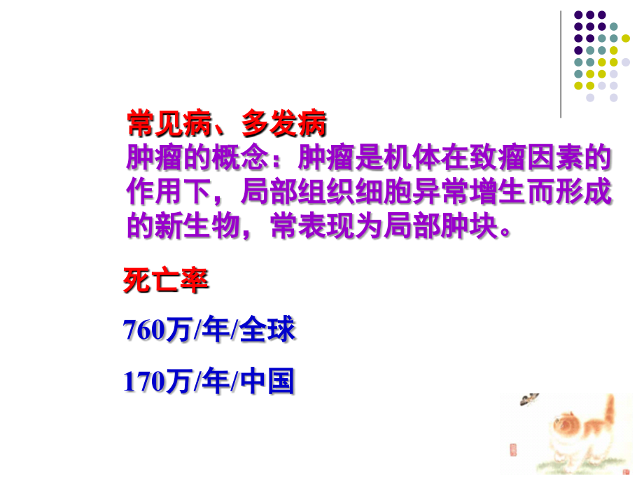 病理学基础第七章肿瘤.ppt_第2页