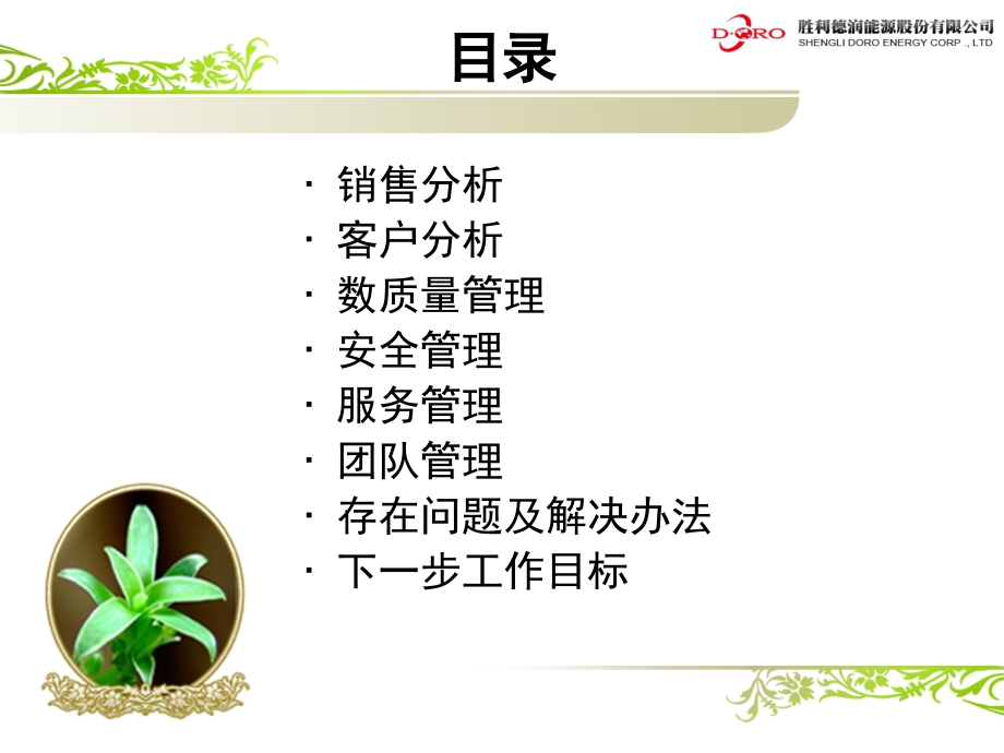 加油站季度经营分析.ppt_第2页