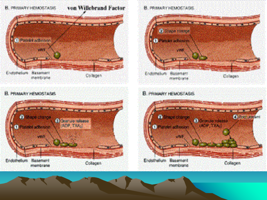 影响自体活性活质的药物课件.ppt_第2页