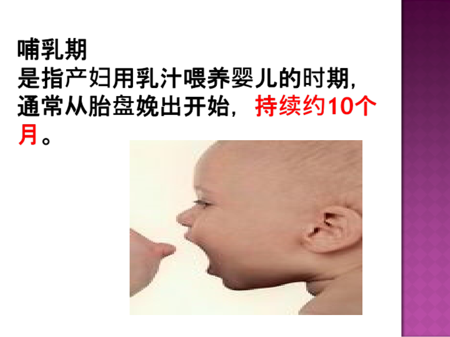 医学哺乳期保健专业知识宣讲.ppt_第2页