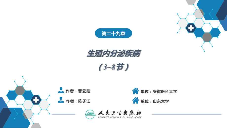 第二十九章生殖内分泌系统(第3-8节).ppt_第2页