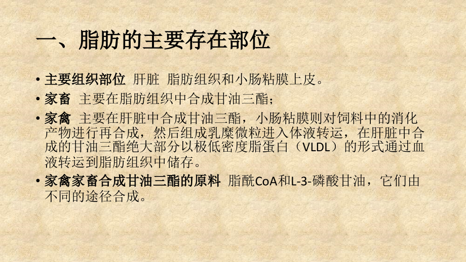 脂肪的合成代谢.ppt_第2页