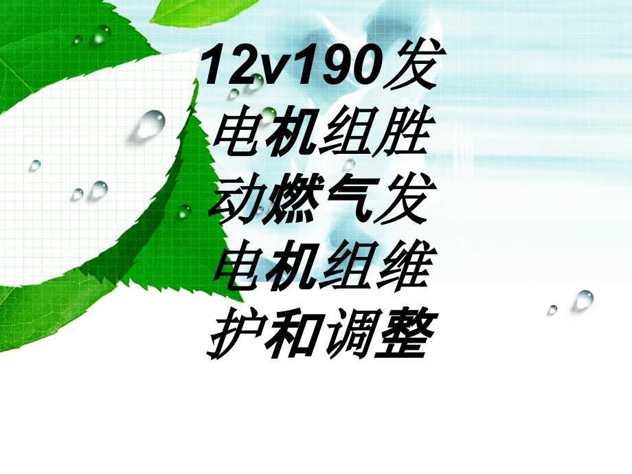 v发电机组胜动燃气发电机组维护和调整.ppt_第1页