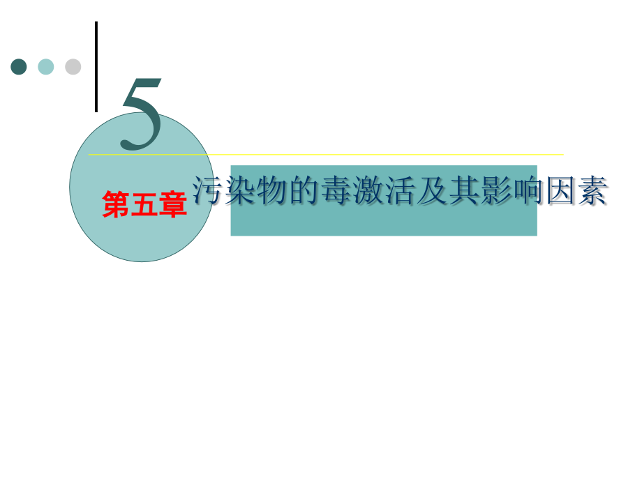 第五章--污染物的毒激活及其影响因素.ppt_第1页
