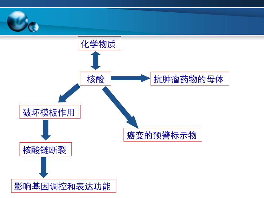 化学生物学-化学物质与核酸的相互作用.ppt_第2页