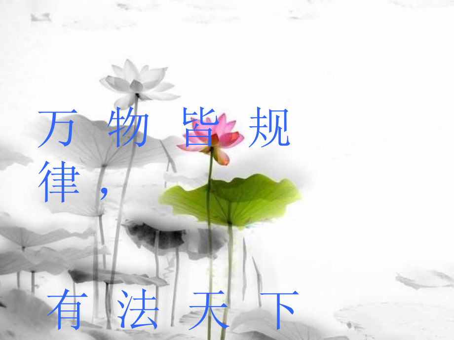 词性复习.ppt公开课(超级全面).ppt_第2页