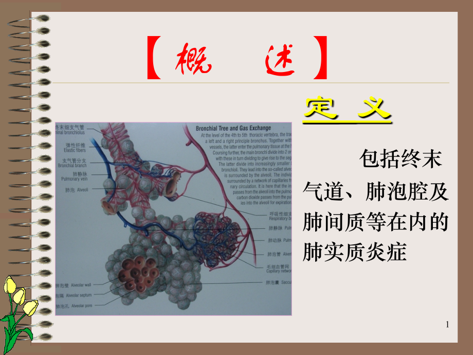 医学课件完美医疗肺炎.ppt_第1页