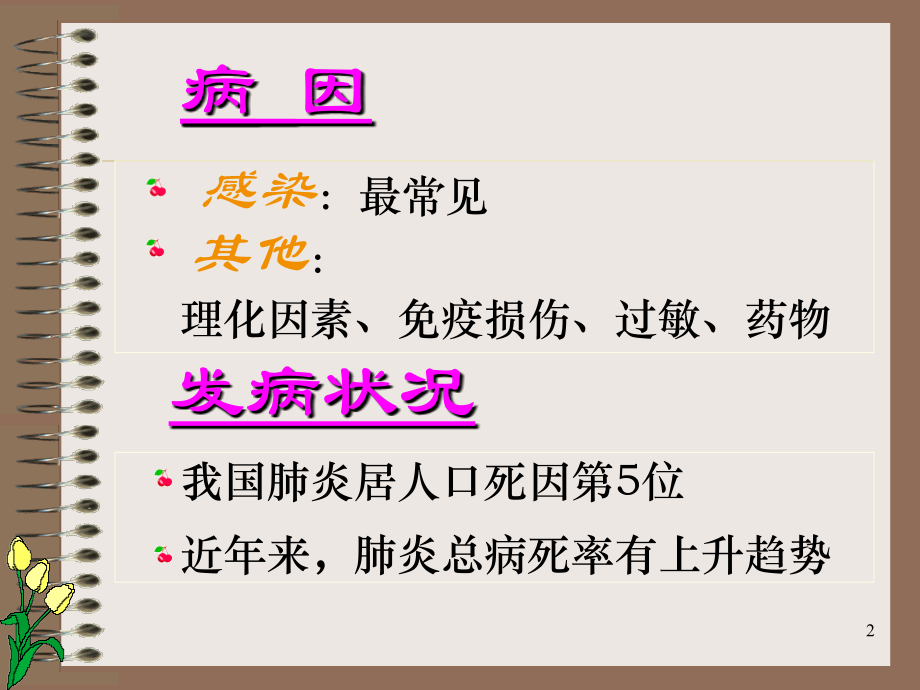 医学课件完美医疗肺炎.ppt_第2页