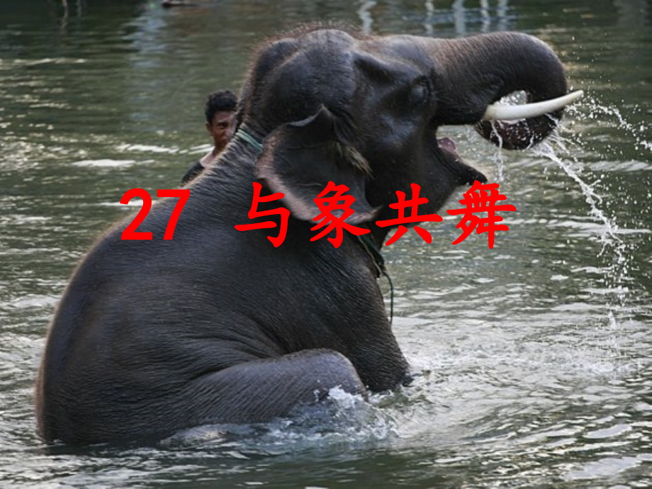 语文五年级下册课件-与象共舞(1).ppt_第1页