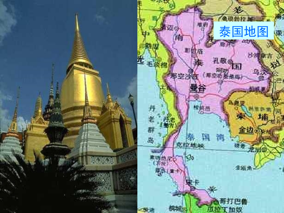 语文五年级下册课件-与象共舞(1).ppt_第2页