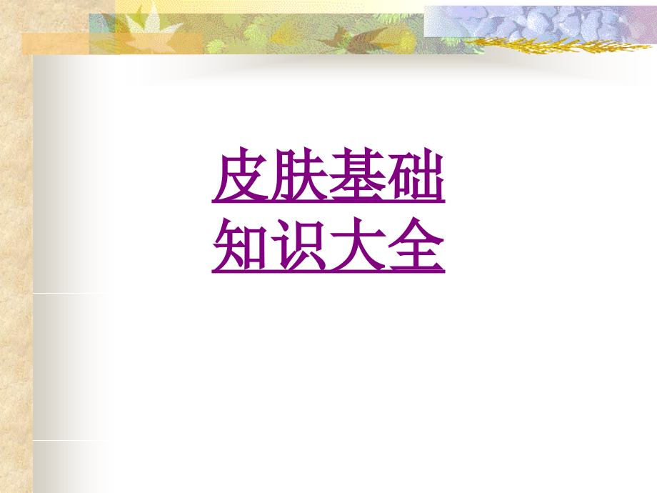 医学皮肤基础知识大全.ppt_第1页