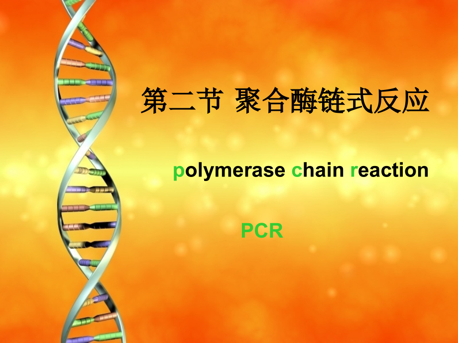 对低浓度模板的扩增-昆明医科大学.ppt_第2页